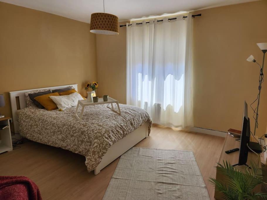 Moderno Apartamento Cerca Del Centro En Leon Bagian luar foto